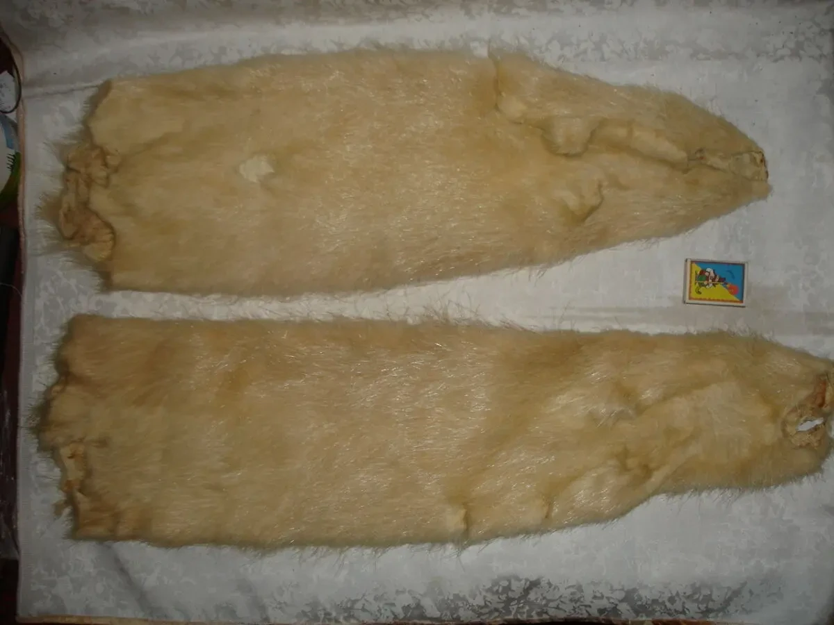 Кожа/мех/ШКІРА натуральна НУТРІЇ, не фарбована. НОВА, цільна. РАРИТЕТ. 2