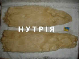 Кожа/мех/ШКІРА натуральна НУТРІЇ, не фарбована. НОВА, цільна. РАРИТЕТ.