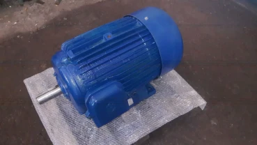 Електродвигун 1МВ3-200L/6 - 18,5x1000