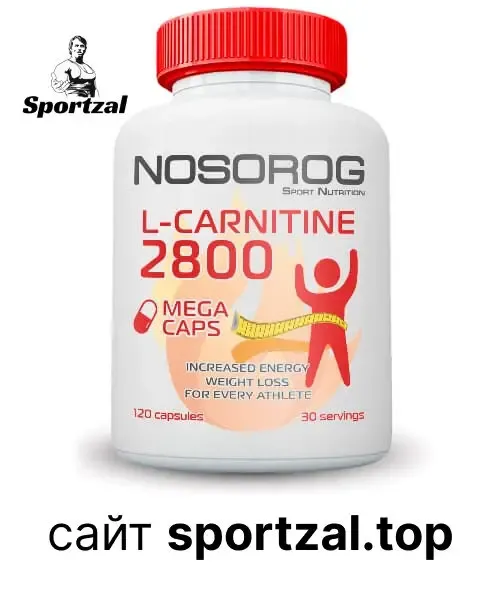 L-Carnitine 2800 120caps 2