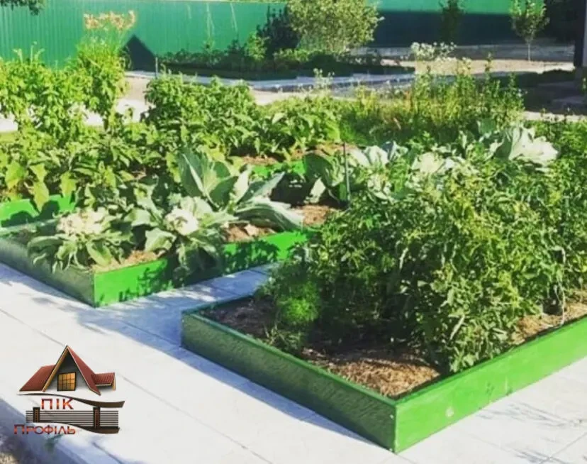 Грядка, клумба 5