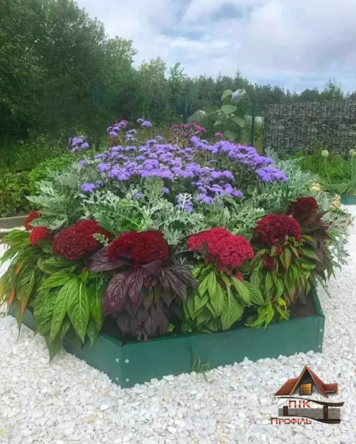 Клумба, грядка, Альпійська гірка 2