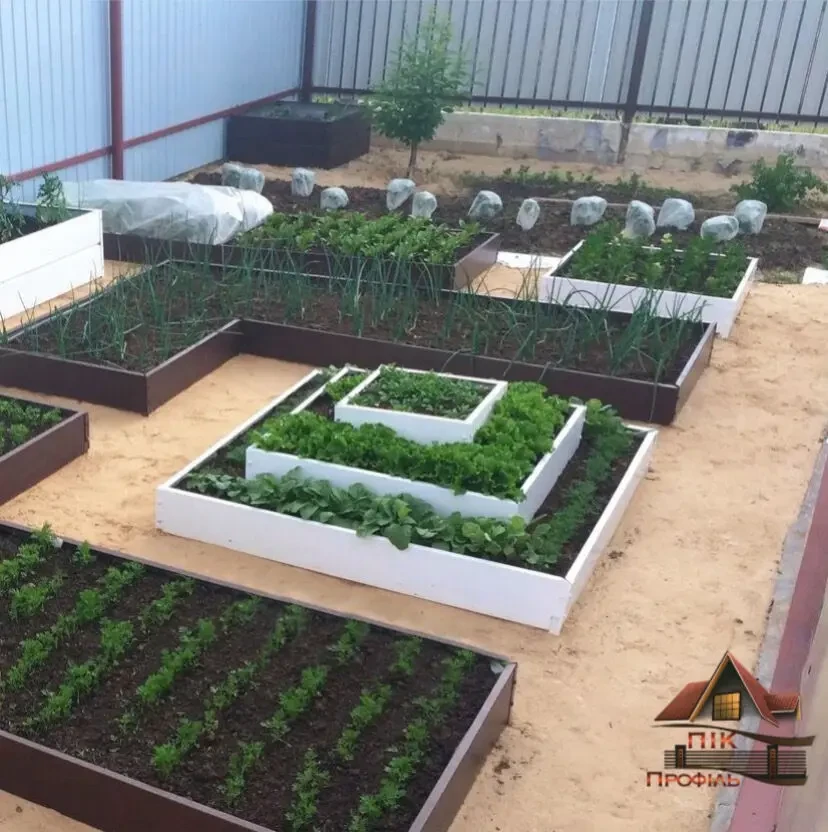 Клумба, грядка, Альпійська гірка 4