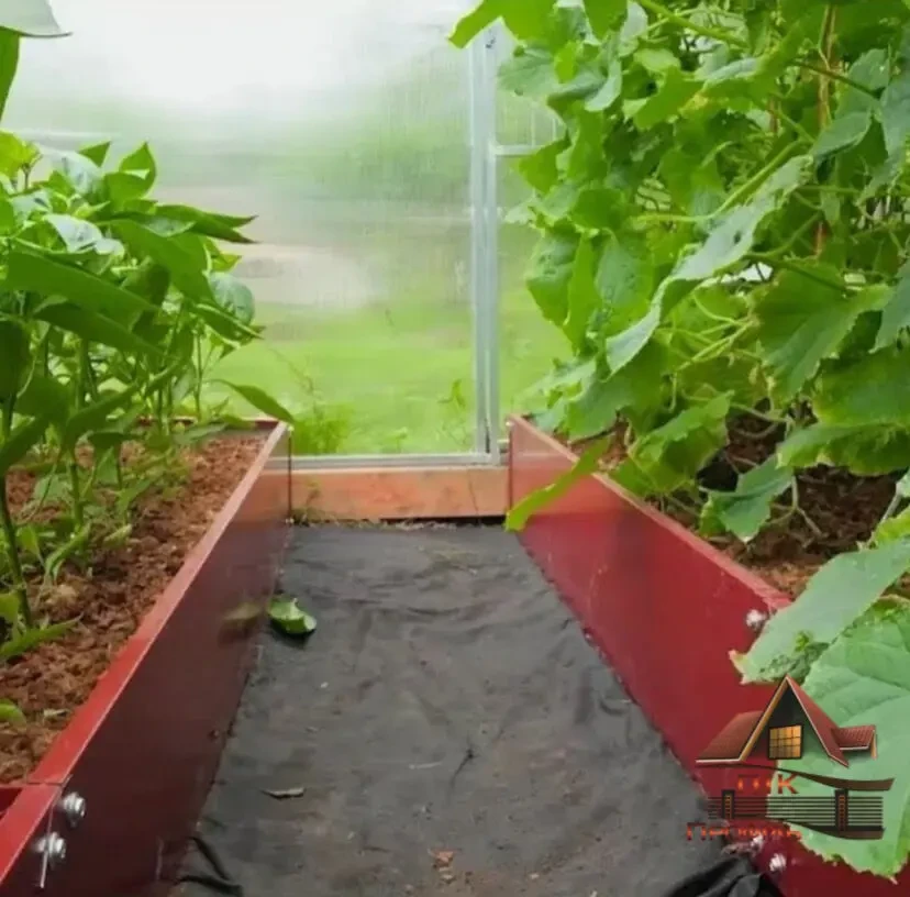 Грядка, клумба 7