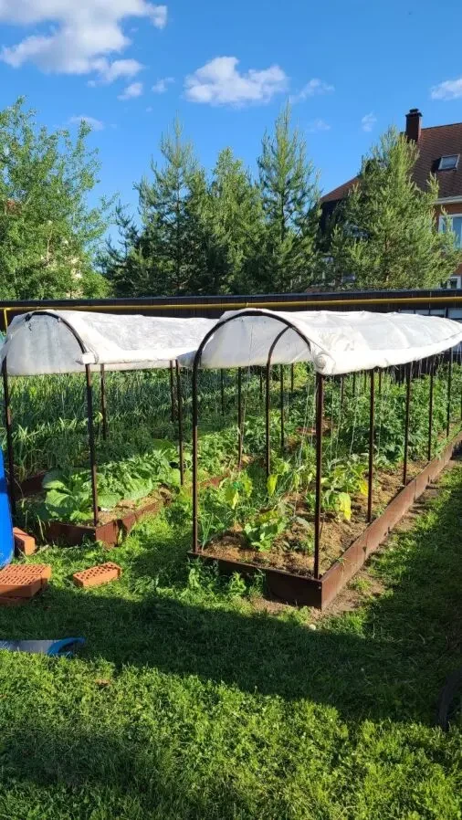 Висока грядка, клумба, бордюрчик 7