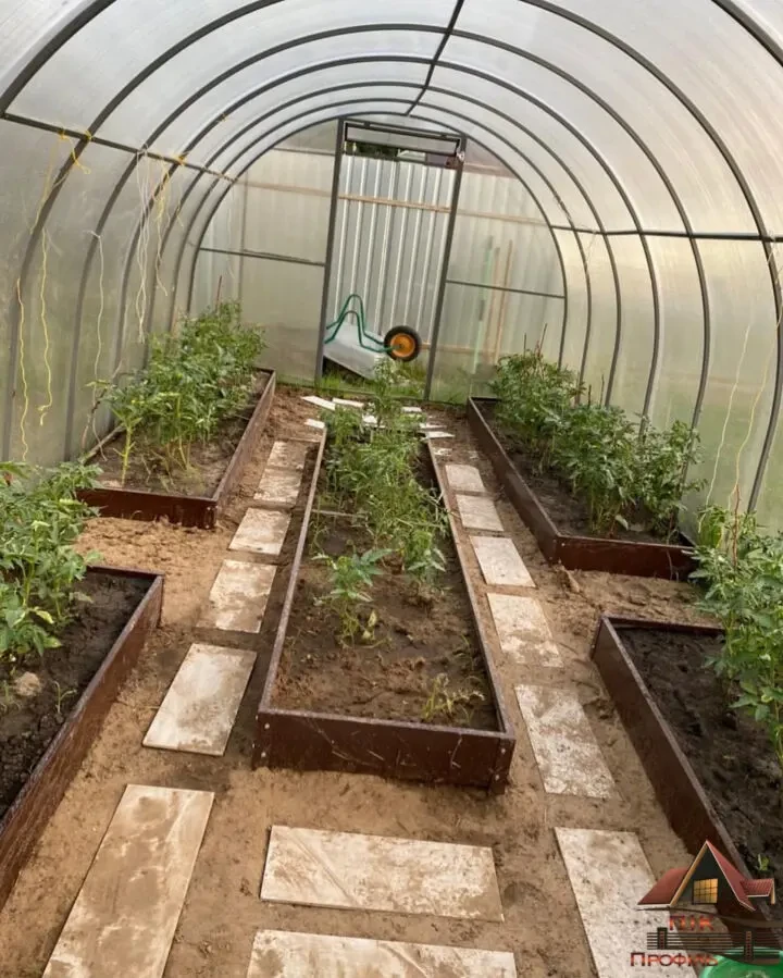 Теплична грядка 2