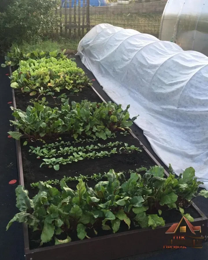 Грядка з перемичкою 7