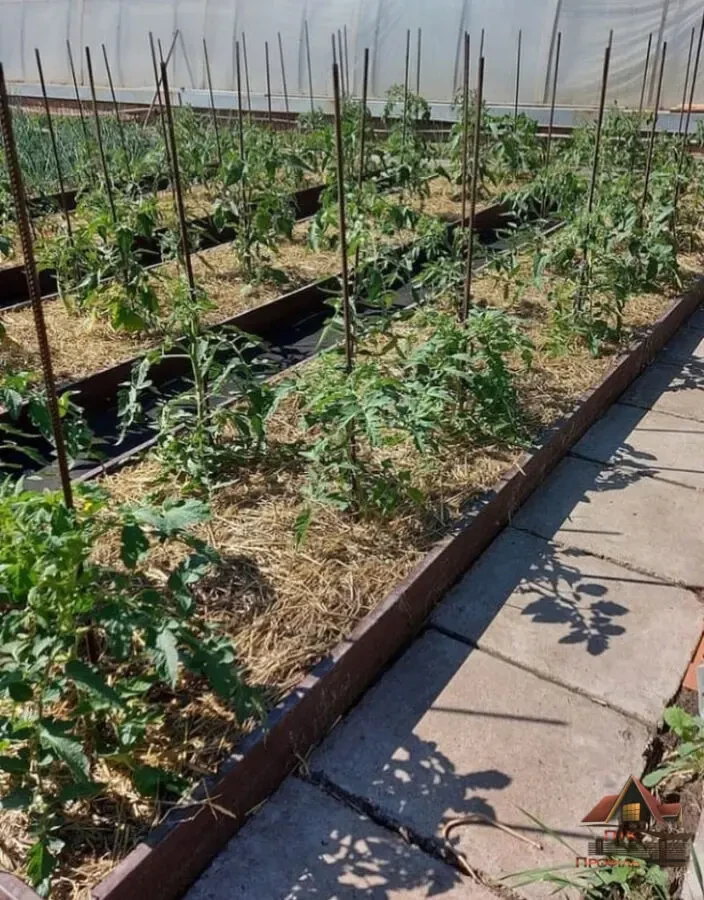 Грядка з перемичкою 6