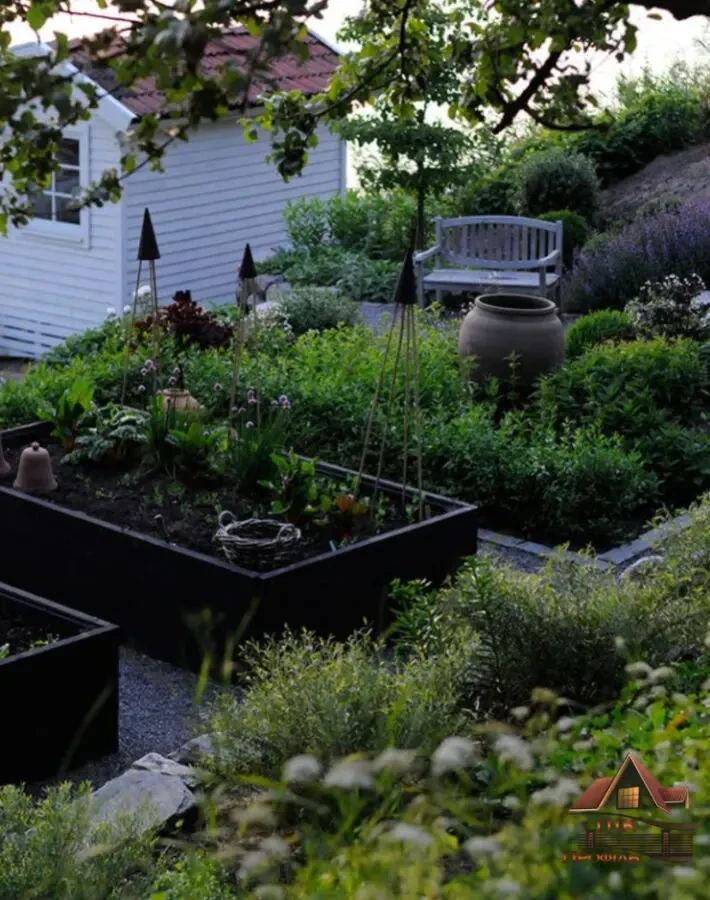 Грядка, клумба