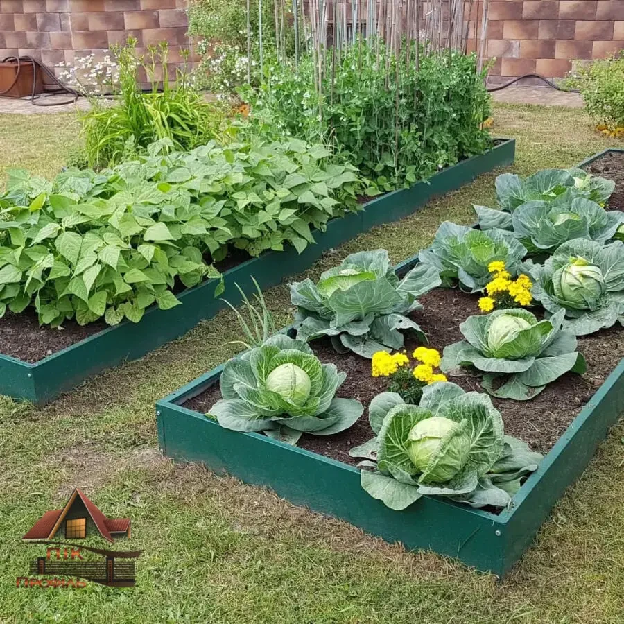 Грядка, клумба 8