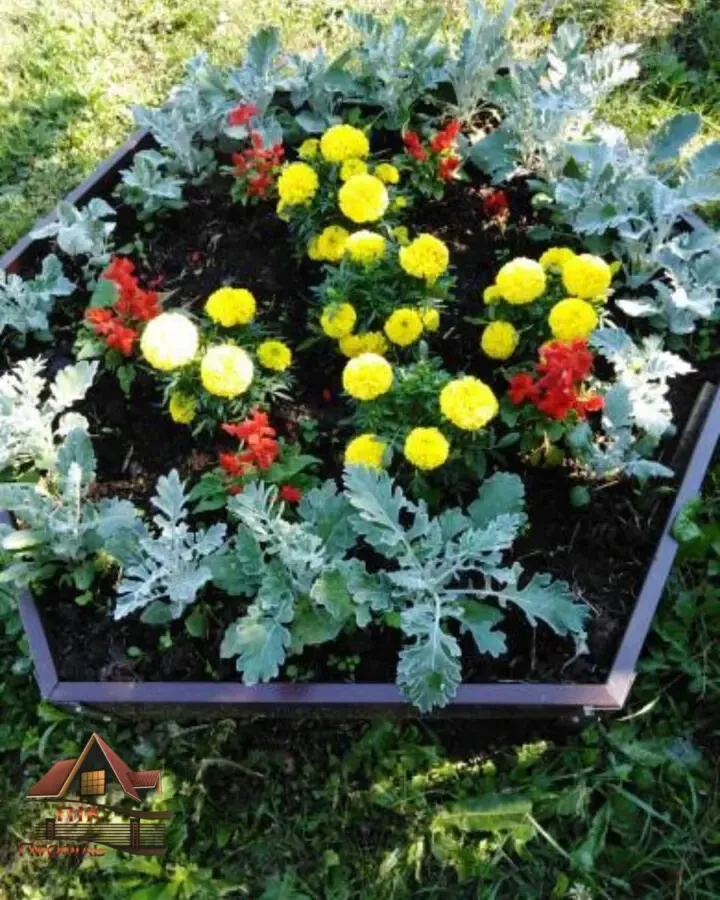 Грядка, клумба 6