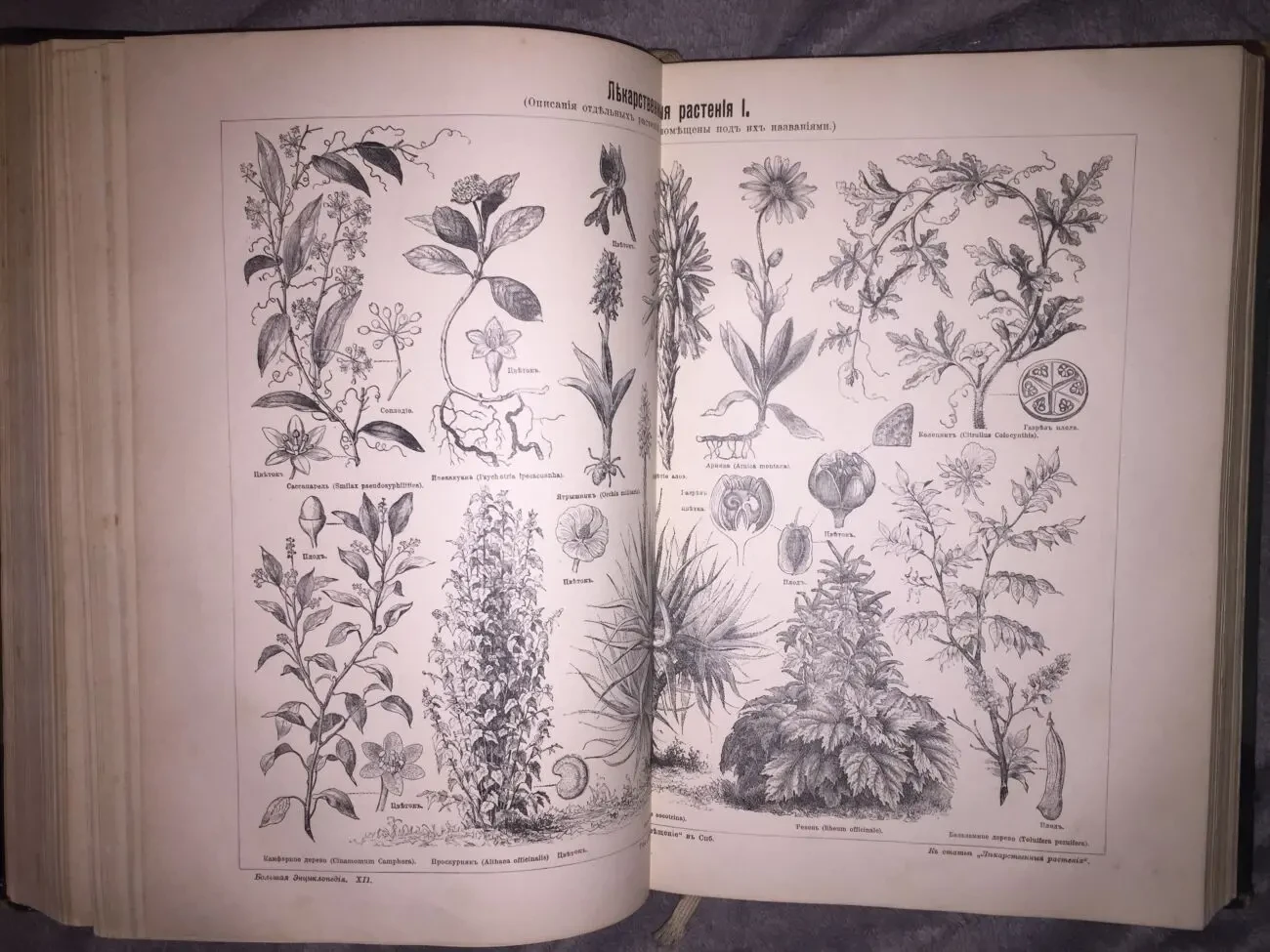 Большая энциклопедия Южакова.Том 12 9