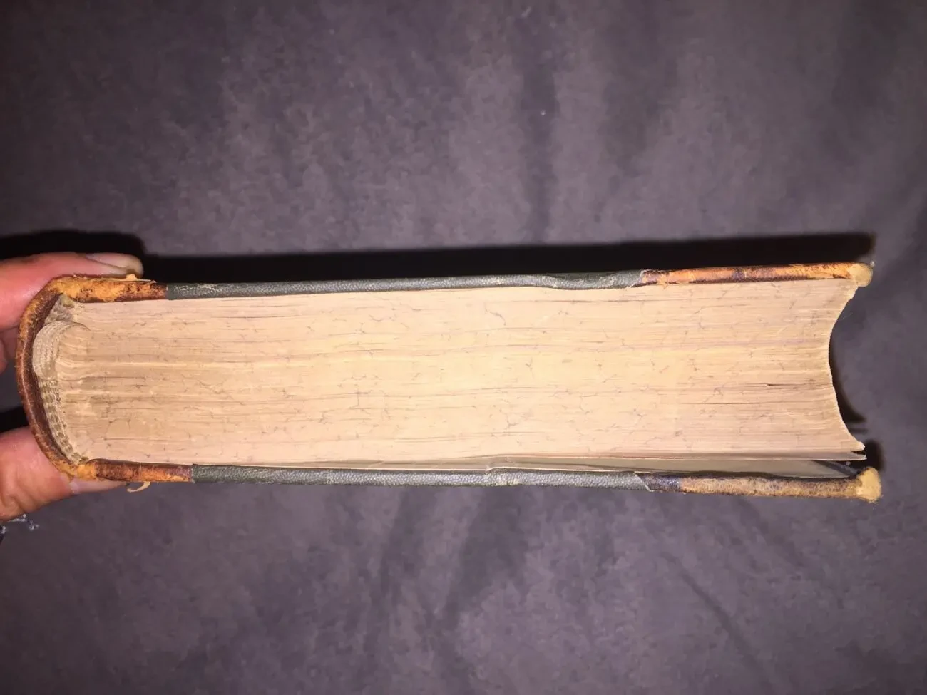 Большая энциклопедия Южакова.Том 12 5