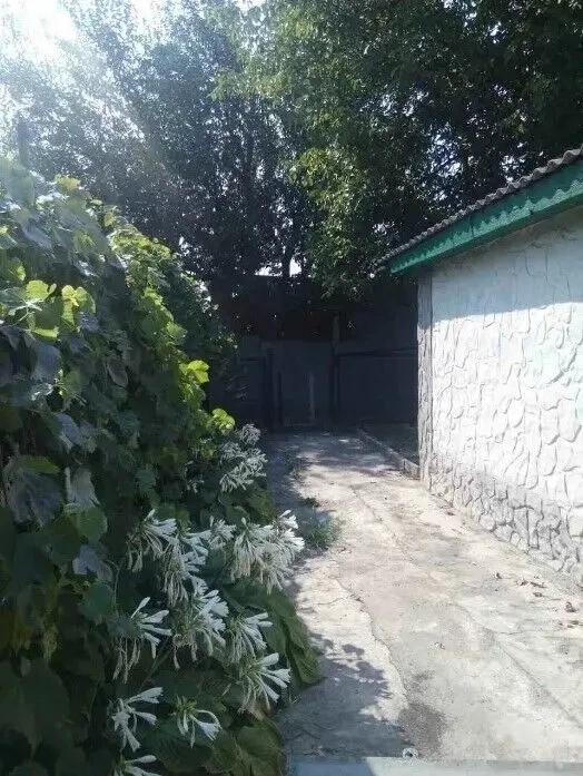 Продам будинок біля води та лісу 4