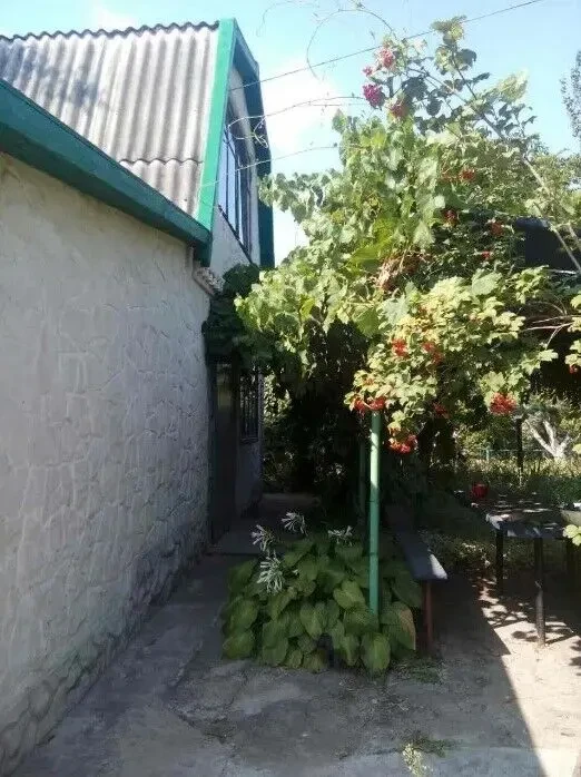 Продам будинок біля води та лісу 3