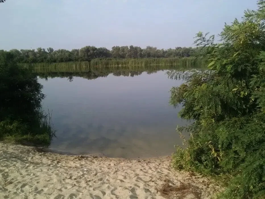 Продам будинок біля води та лісу 10