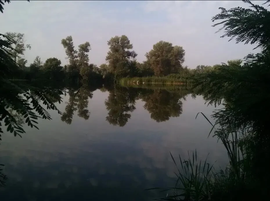 Продам будинок біля води та лісу 9