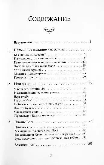 Принципы достижения цели. Владимир Мунтян 5