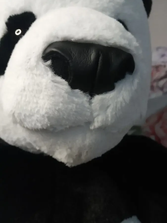 Панда велика м