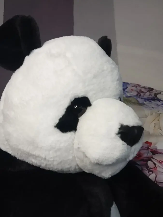 Панда велика м