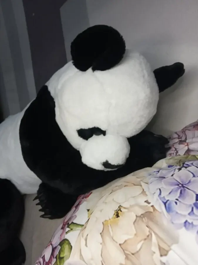 Панда велика м