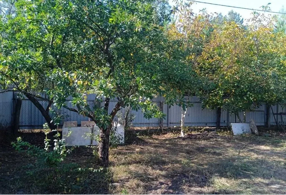 Продам Фасадний дачний будинок. 6