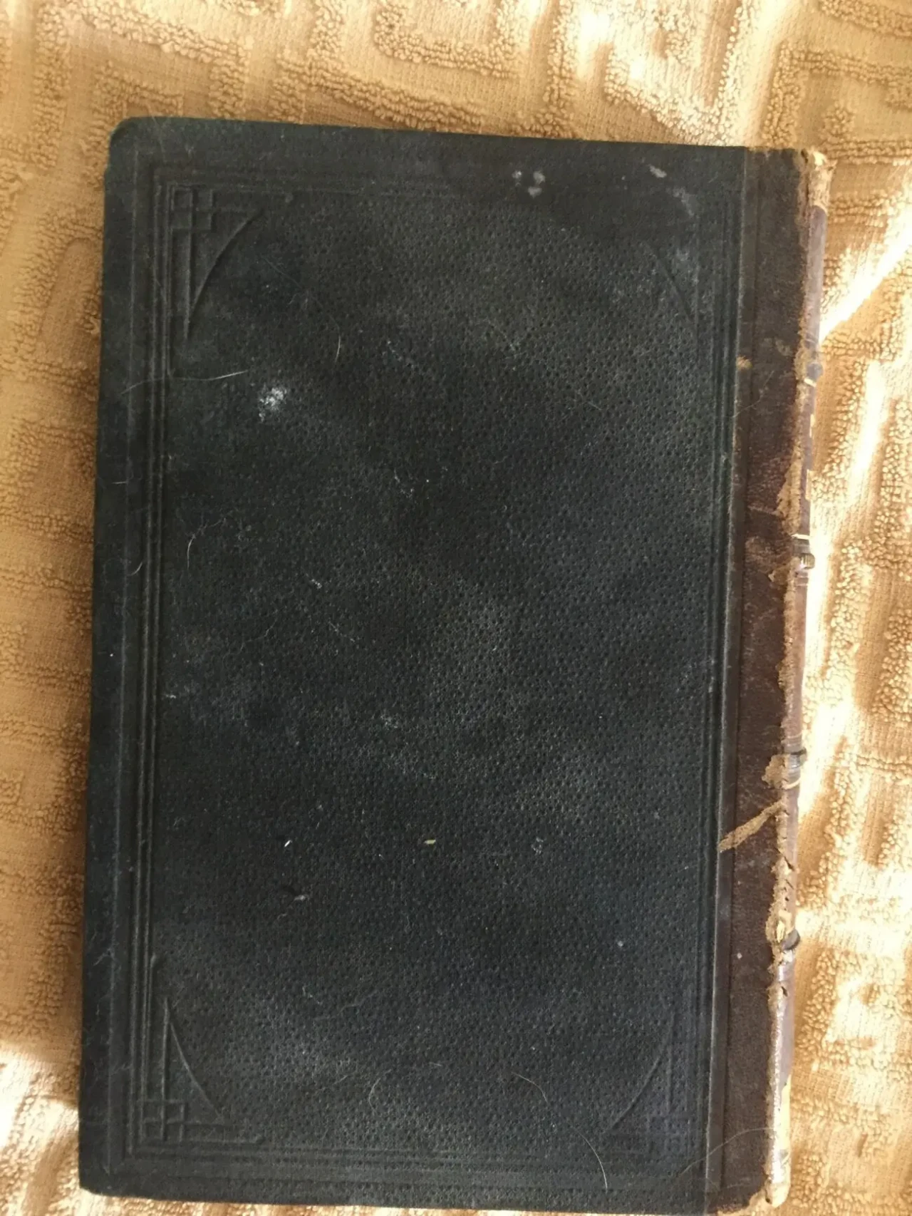 Adam Mickiewicz.Zarys biiograficzno-literacki.P.Chmielowski.Tom 2 4