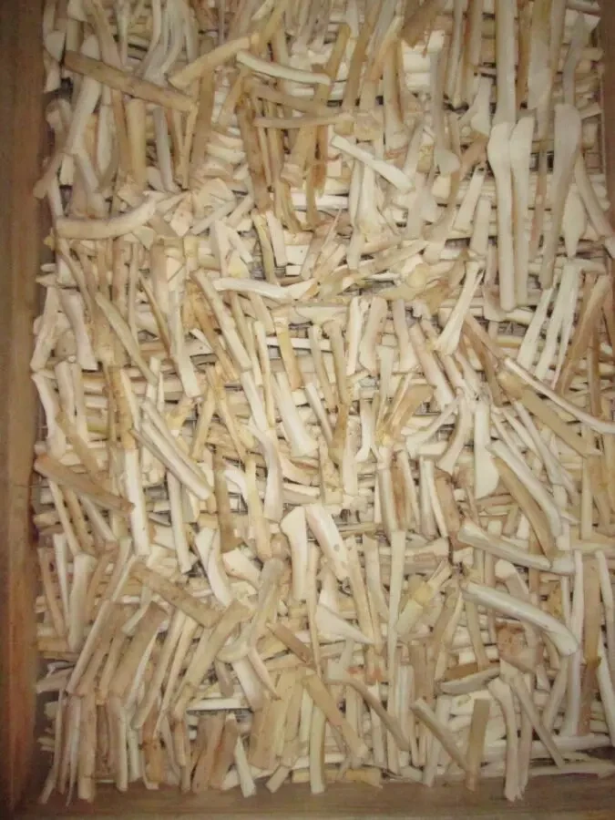 Красный мухомор настойка. 7