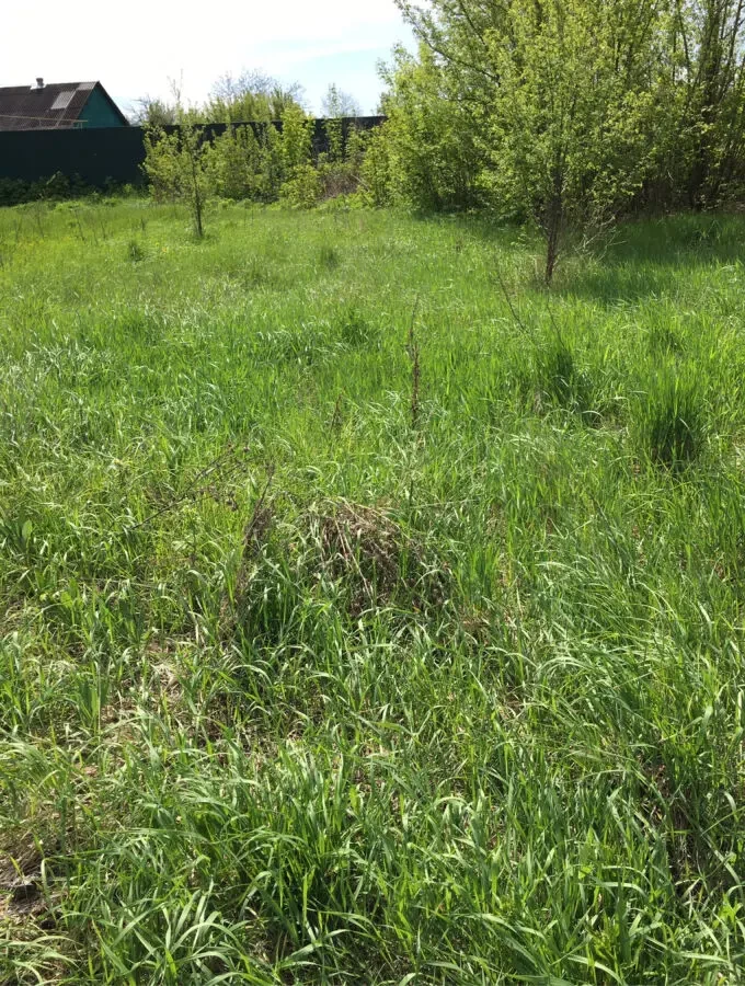 Продам дом с участком 22 соток земли Великие Сорочинцы Полтавская обл 7