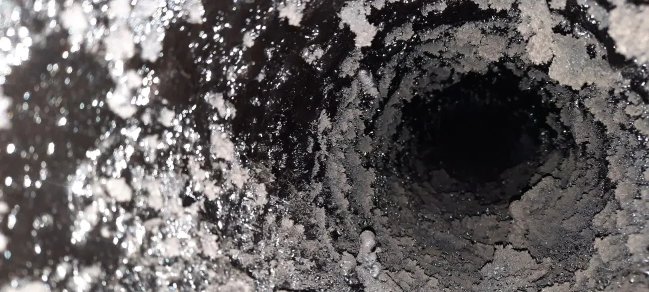 Сажотрус Трубочист димогод 9