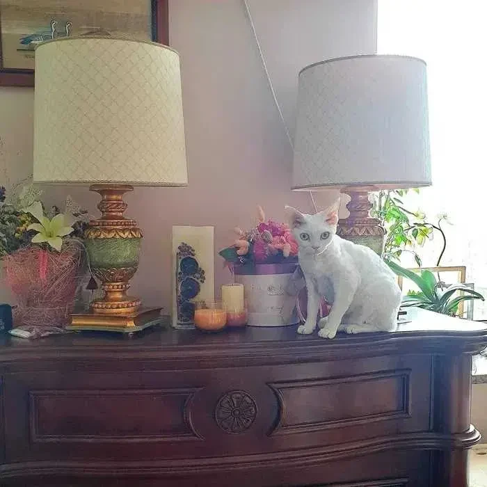 Лампа настільна Італія Paolo Lucchetta 2