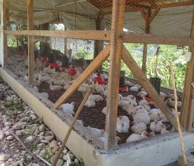 Капроновая сетка (узловая  дель) 2