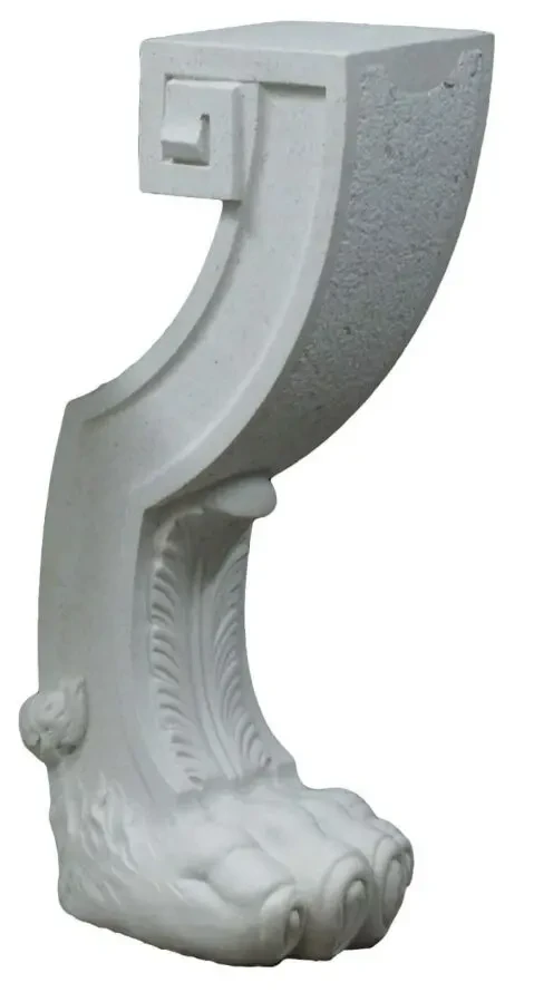 Лапа лева львиная 8