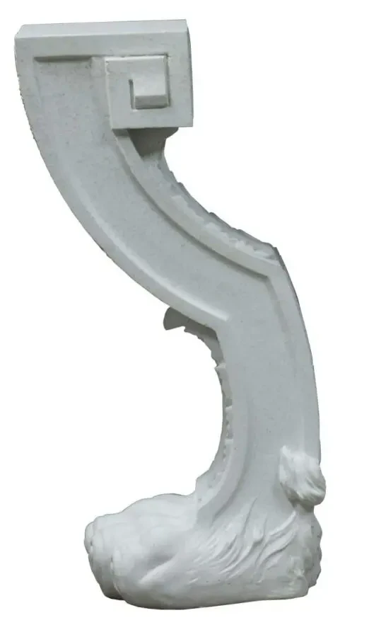 Лапа лева львиная 7