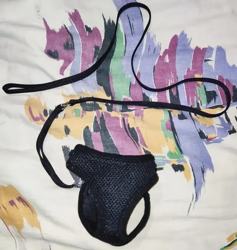 Шлейка с поводком на небольшую собаку