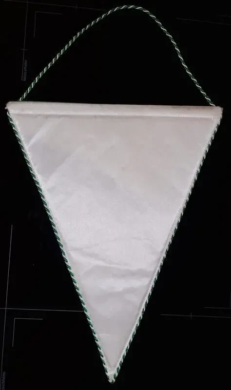 Футбольный вымпел WSG Swarovski Tirol 2