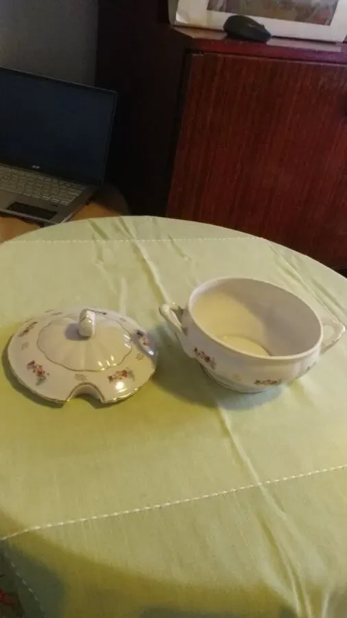 Коростенський фарфор 8