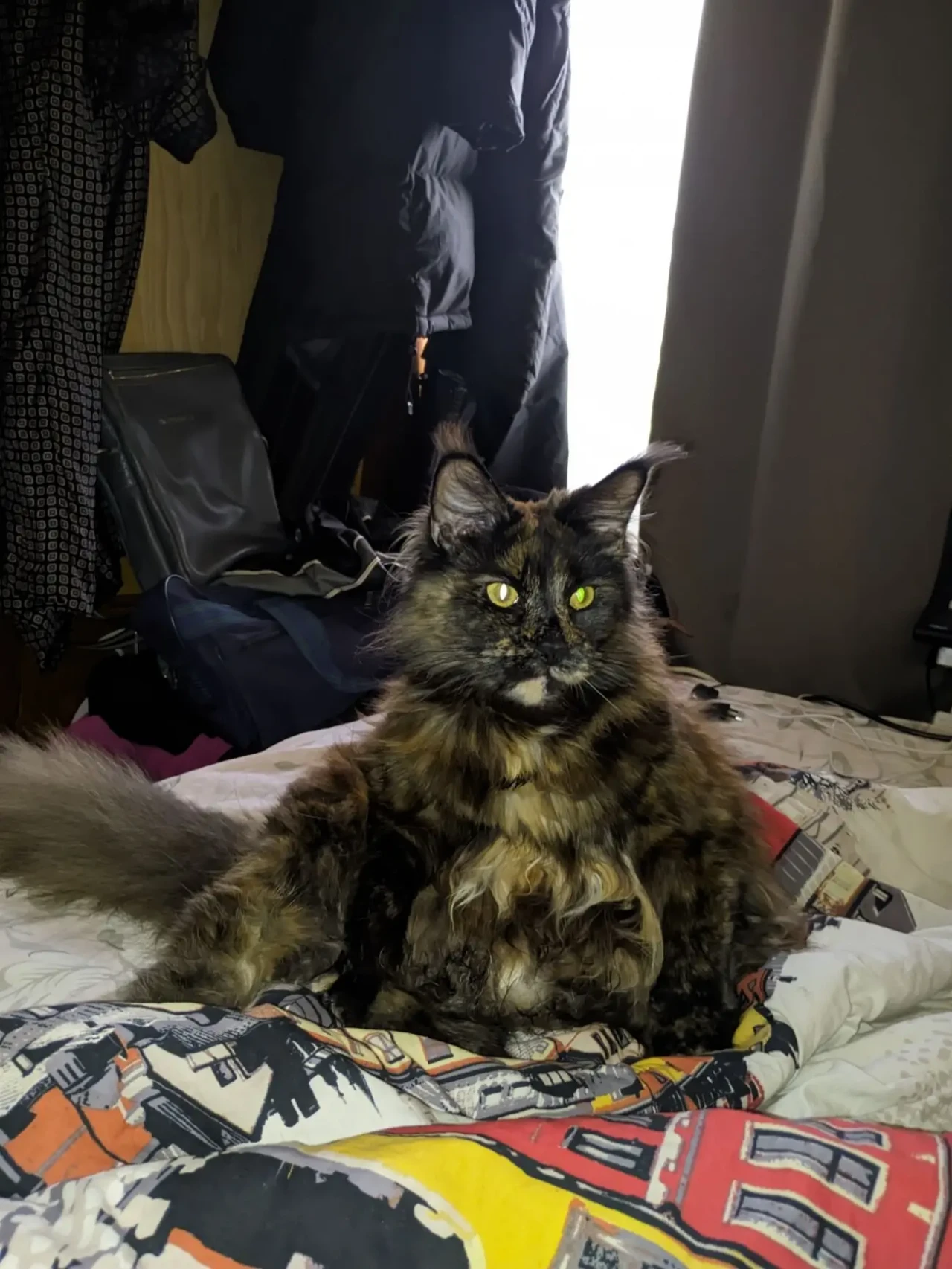 Продам домик 3