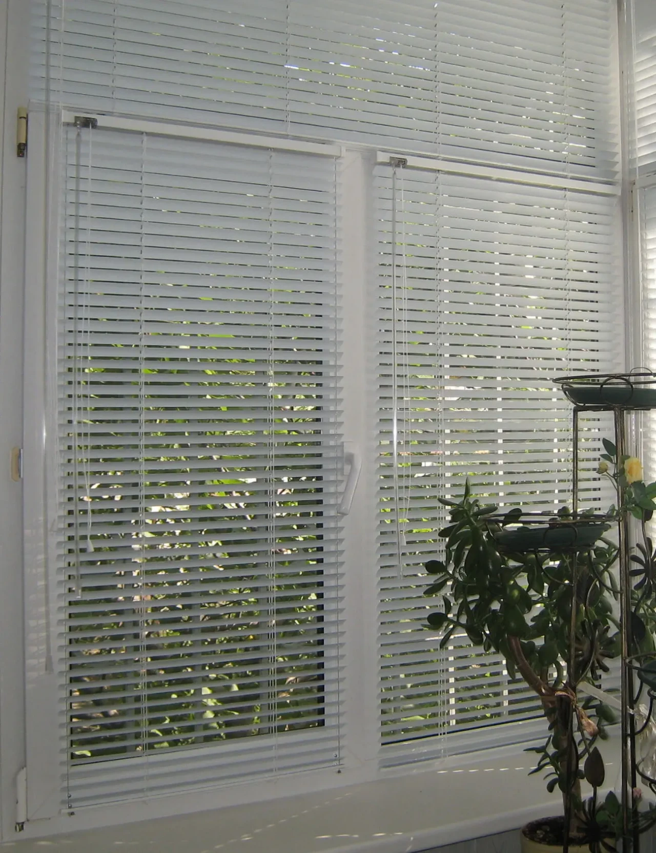 Жалюзі (жалюзи) 2