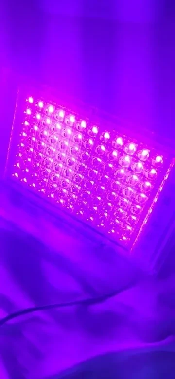 ультрафиолетовая лампа,фитолампа 395-400нм 220 в/100 вт.