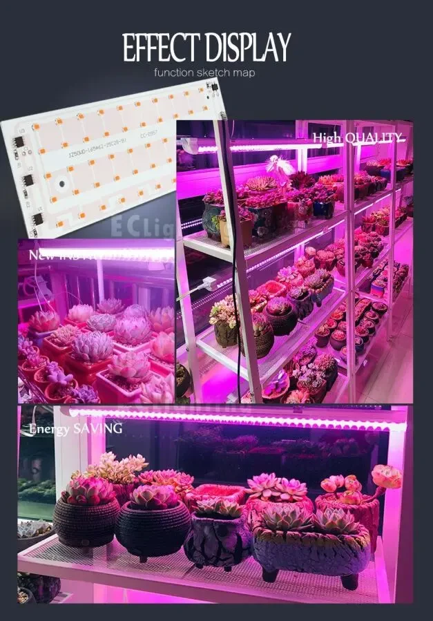 Фитосветодиод, світлодіод, чип 50 Вт,220 В полный спектр для прожекто 4