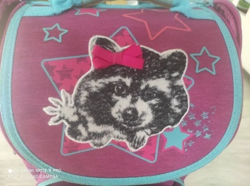 Шкільний ранець німецької фірми Kite з єнотиком 9