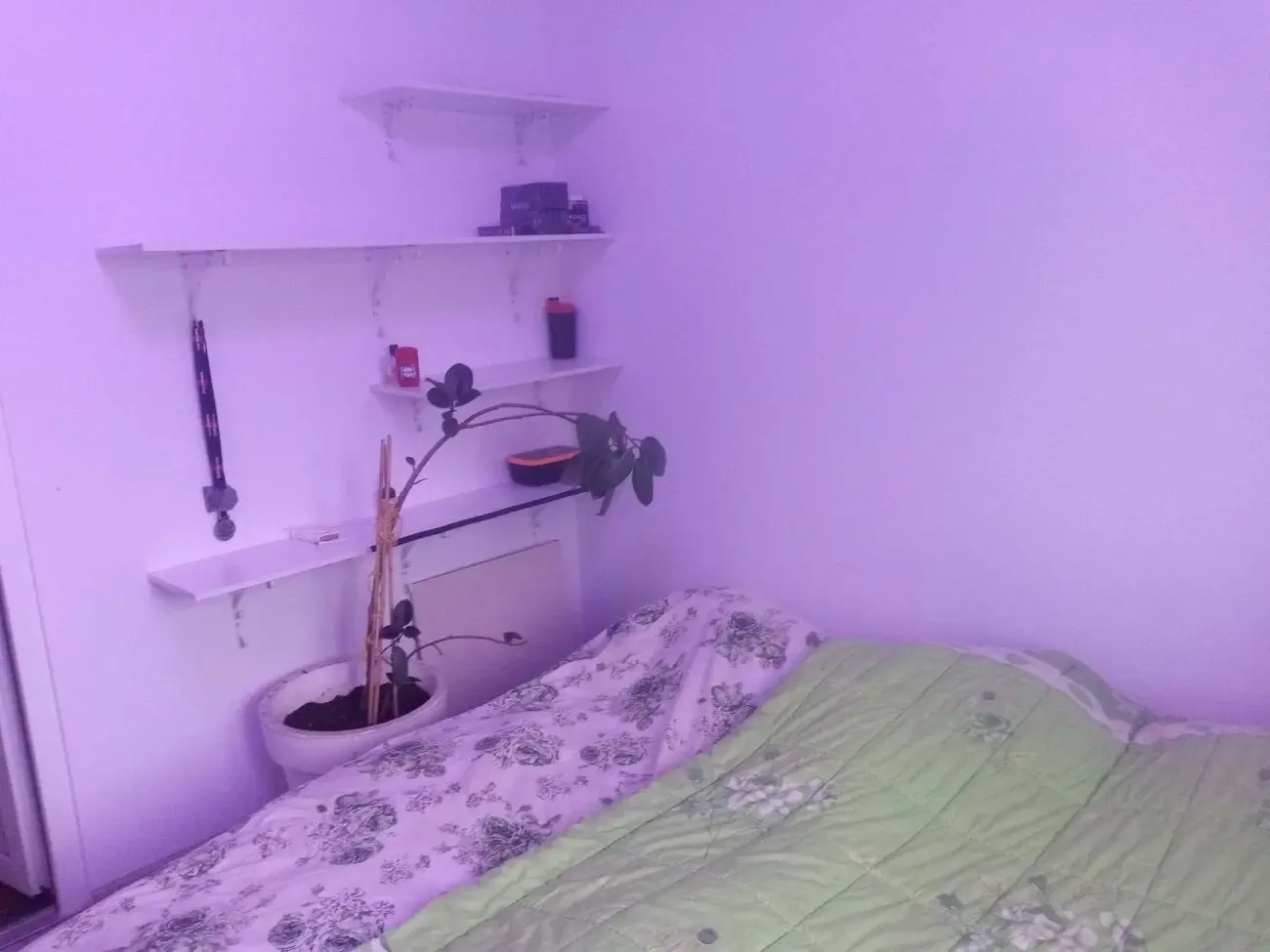 Оренда кімнат 3