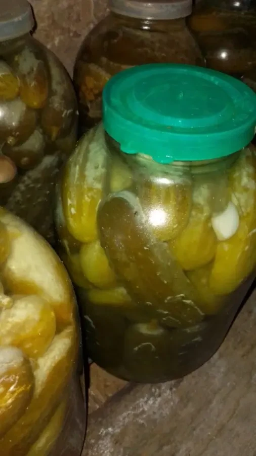 Огірки квашені, баклажани квашені. 4