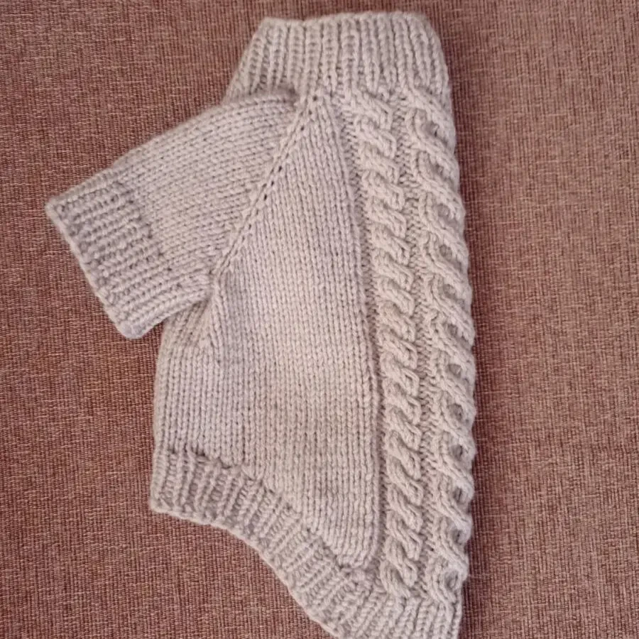 В'язаний светр для собачки 3