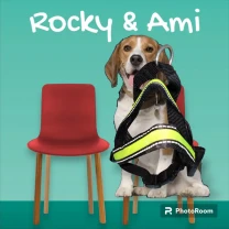 Шлейка с подсветкой на небольшую собаку