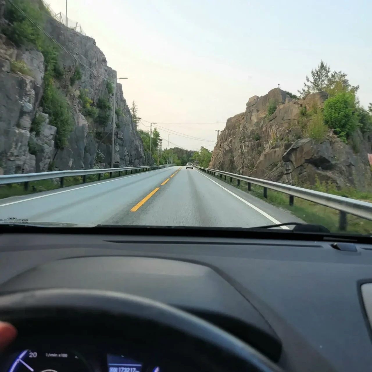 Доставка-перегон Вашого авто з Європи до України та навпаки 3