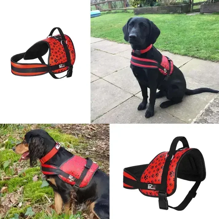 Шлейки и ошейники 9