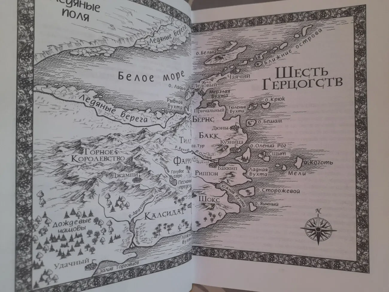 Робин Хобб Сага о живых кораблях фэнтези фантастика 7