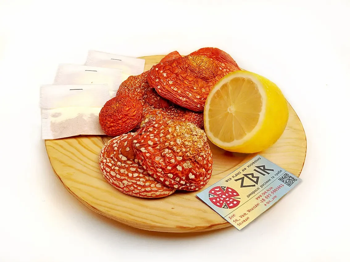 Чай з червоного мухомора та пантерного мухомора